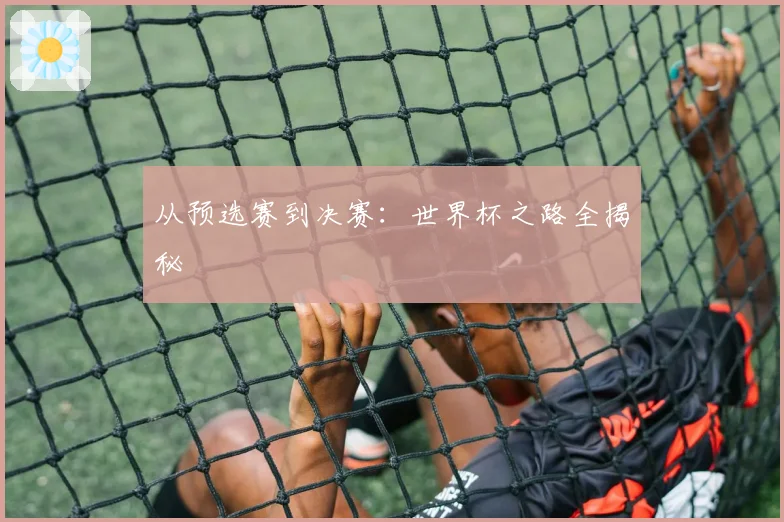 从预选赛到决赛：世界杯之路全揭秘