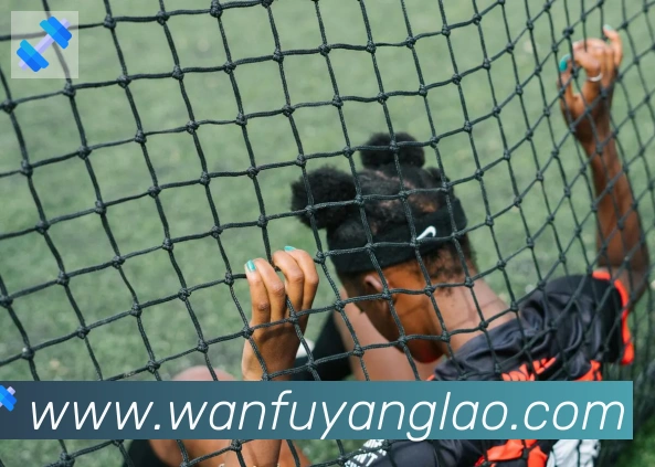 博亚官网APP 体育赛事宣传图