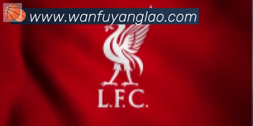 博亚官网合作伙伴