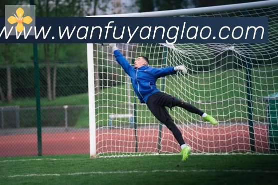 数据防护可视化